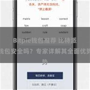 Bitpie钱包推荐 比特派钱包安全吗？专家详解其全面优势