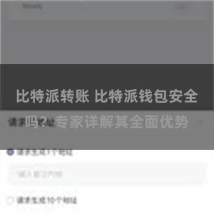 比特派转账 比特派钱包安全吗？专家详解其全面优势