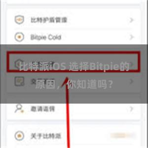 比特派iOS 选择Bitpie的原因，你知道吗？