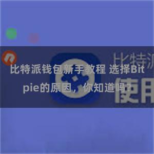 比特派钱包新手教程 选择Bitpie的原因，你知道吗？