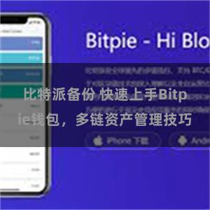 比特派备份 快速上手Bitpie钱包，多链资产管理技巧