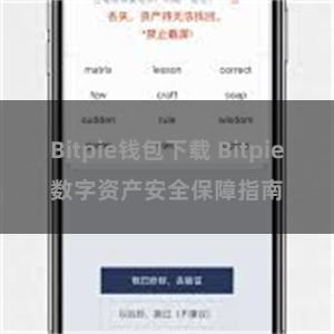 Bitpie钱包下载 Bitpie数字资产安全保障指南