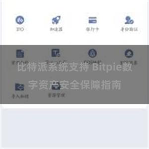 比特派系统支持 Bitpie数字资产安全保障指南