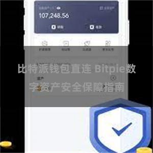 比特派钱包直连 Bitpie数字资产安全保障指南