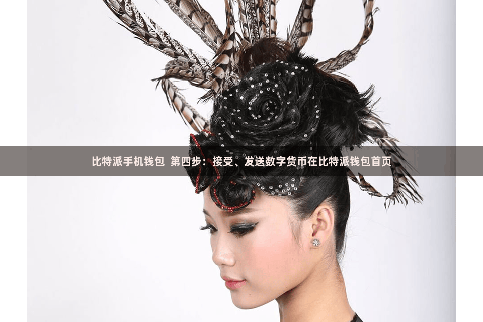 比特派手机钱包  第四步：接受、发送数字货币在比特派钱包首页