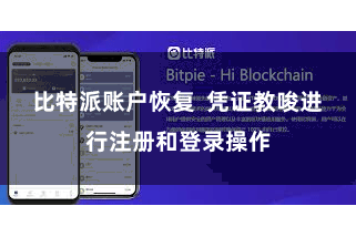 比特派账户恢复  凭证教唆进行注册和登录操作