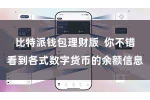 比特派钱包理财版  你不错看到各式数字货币的余额信息