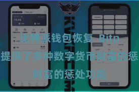 比特派钱包恢复  Bitpie钱包提供了多种数字货币财富的惩处功能