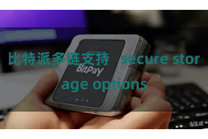 比特派多链支持   secure storage options