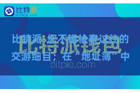 比特派  您不错检察过往的交游细目；在“地址簿”中