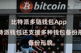 比特派多链钱包App  比特派钱包还支援多种钱包备份形貌