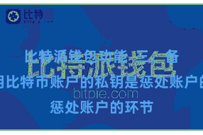 比特派钱包功能  三、备份私钥比特币账户的私钥是惩处账户的环节
