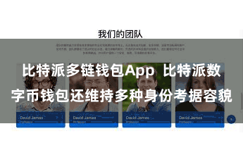 比特派多链钱包App  比特派数字币钱包还维持多种身份考据容貌
