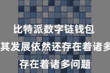 比特派数字链钱包  然则其发展依然还存在着诸多问题