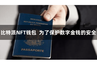 比特派NFT钱包  为了保护数字金钱的安全