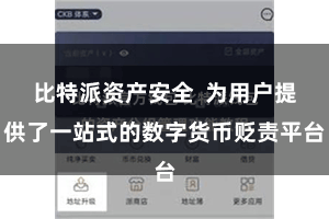 比特派资产安全  为用户提供了一站式的数字货币贬责平台